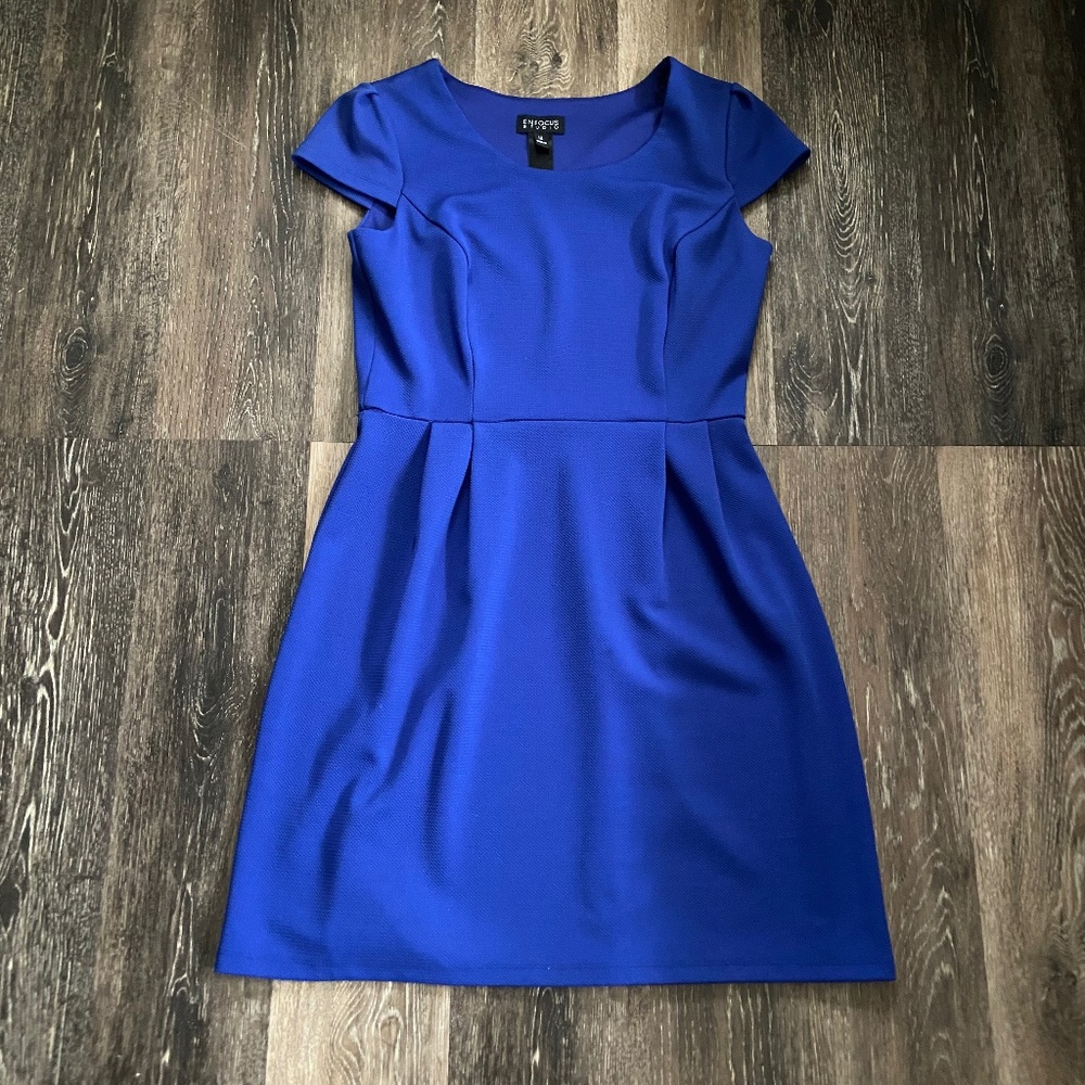 Enfocus Studio Size 12 Dress